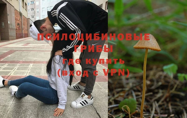 ПСИЛОЦИБИНОВЫЕ ГРИБЫ Алзамай