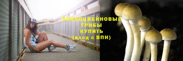 ПСИЛОЦИБИНОВЫЕ ГРИБЫ Алзамай