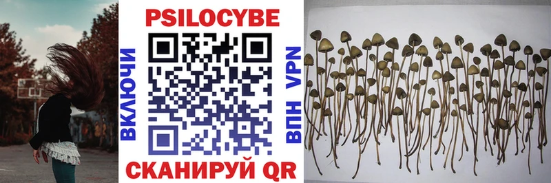 shop Telegram  Старый Оскол  Галлюциногенные грибы Psilocybine cubensis 