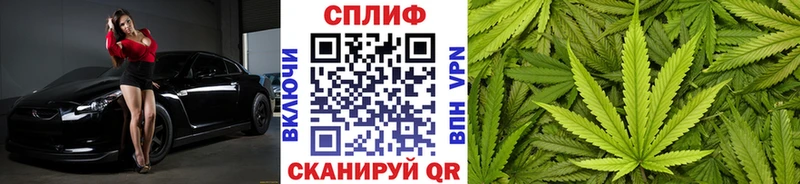 Бошки Шишки семена как найти закладки Старый Оскол